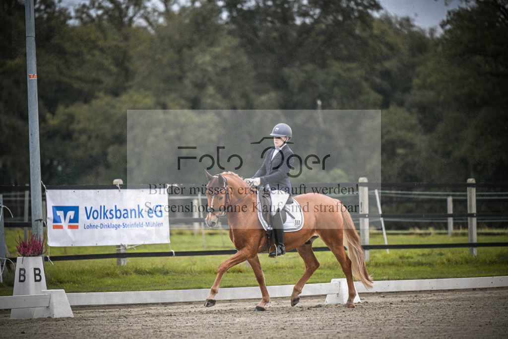 DOS_0299 | Entdecke hochwertige Reitturnierfotos von Foto Oger. Professionell, emotional und authentisch – jetzt Lieblingsmomente im Shop bestellen.Deutschlandweite Turnierfotografie. - Realisiert mit Pictrs.com
