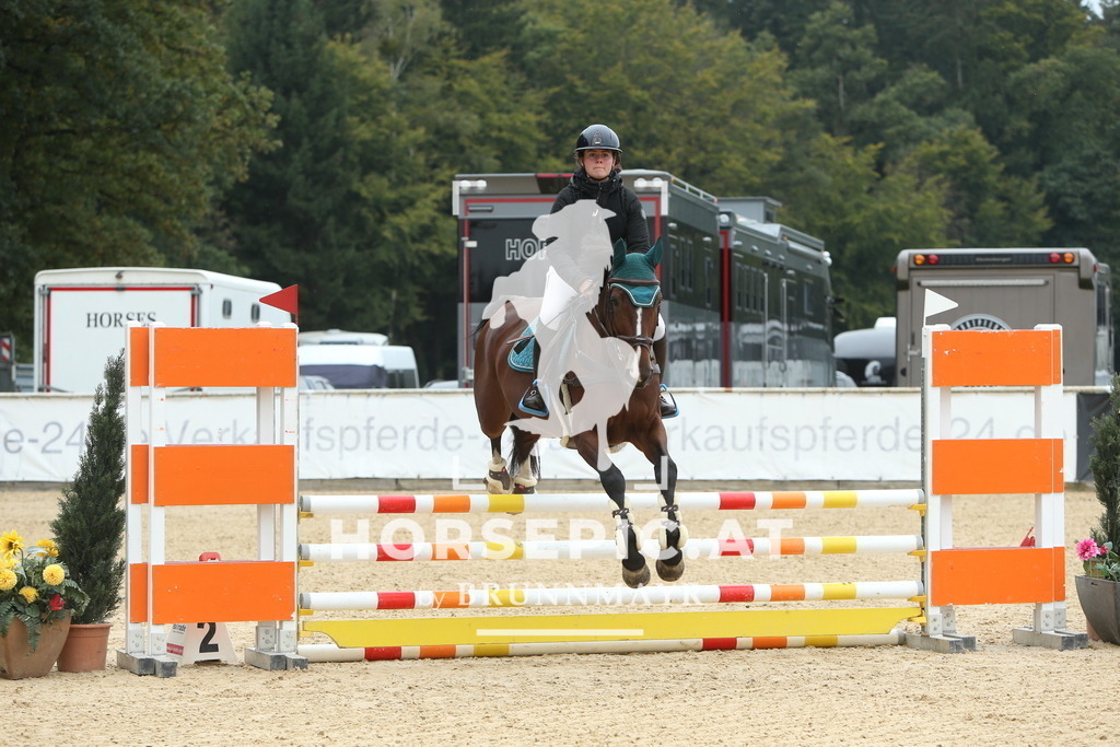 DL2Q5367 | Willkommen bei Brunnmayr - Design & Fotografie – Ihrem Spezialisten für Reitturniere und Pferdeveranstaltungen in Oberösterreich, Salzburg und Bayern! Seit über 17 Jahren sind wir leidenschaftlich dabei.