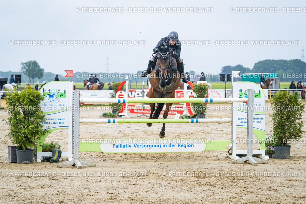 DSC00102 | Pferdegrafie