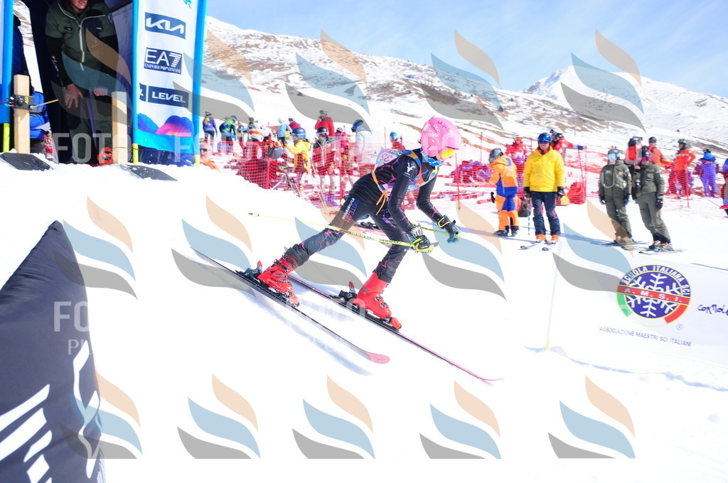 DSC_5095 | holidayphoto