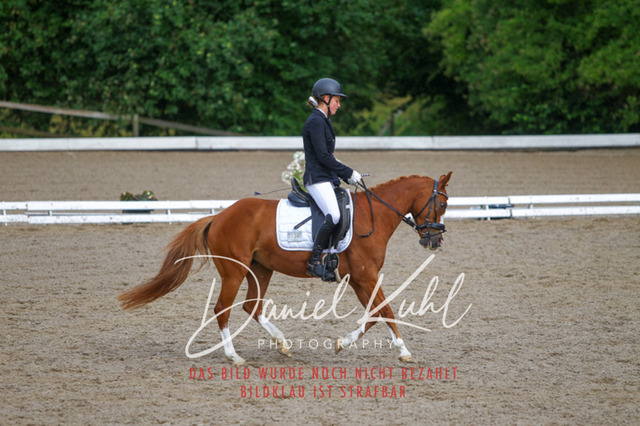 DKP47047 | Turniersportfotografie; Pferdefotografie; Dressurfotografie