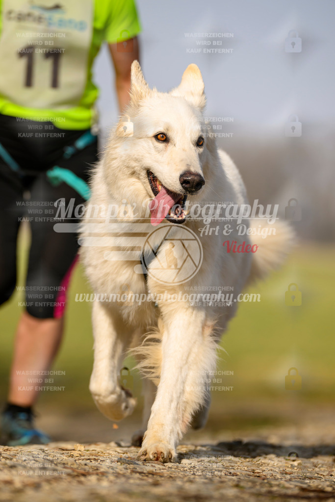 MompixPhotography_6ReiatRennen2026_SA_HappyDog-69 | PayLife