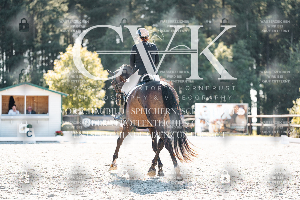 CK906131 | Turnierfotografie Pferdefotografie Trier Rheinland-Pfalz Pferdesport Reitsport Tierfotografie Sportfotografie Pferdevideo Pferdevideografie Equestrianvideography equestrianphotography  - Realisiert mit Pictrs.com