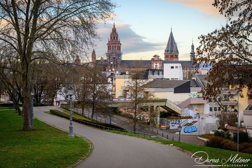 DSC_0068 | Fotografien, Fotos und Bilder aus Mainz, Frankfurt, Wiesbaden und anderen Orten auf der Welt - Fotografiert von Darius Metzner