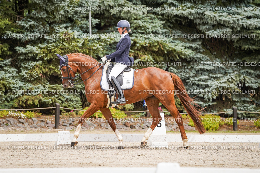 DSC05087 | Pferdegrafie