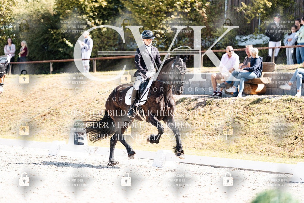 CK904089 | Turnierfotografie Pferdefotografie Trier Rheinland-Pfalz Pferdesport Reitsport Tierfotografie Sportfotografie Pferdevideo Pferdevideografie Equestrianvideography equestrianphotography  - Realisiert mit Pictrs.com