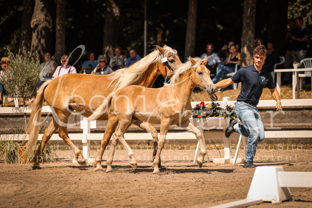 06.DoH00021 | Leoni Ertmer Photography - Realisiert mit Pictrs.com