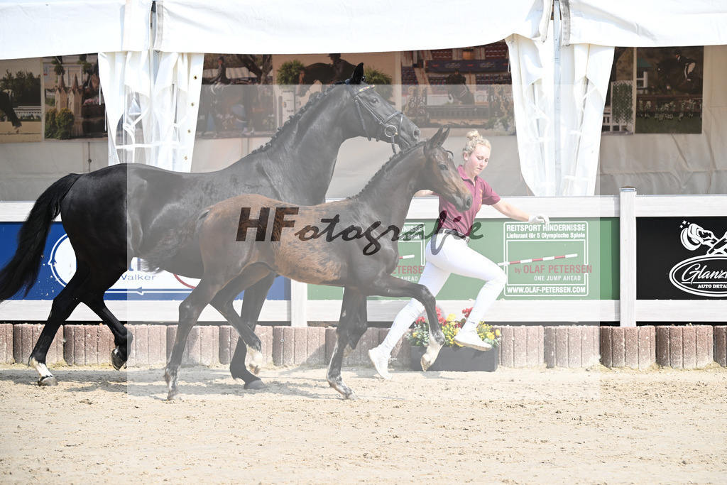 Escaneno x Ganymedes_HF_Amann_12250188 | hf-fotografie - Realisiert mit Pictrs.com