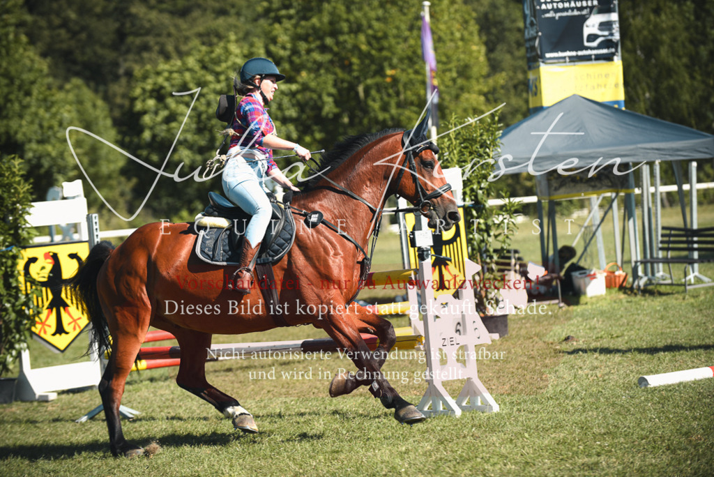 DSC_7741 | Pferde- und Turnierfotografie in Westsachsen. Pferdeportraits, Auftragszeichnungen und intuitive Kunst.