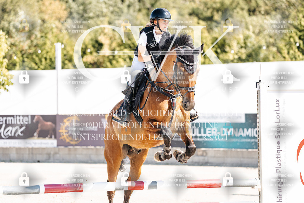 CK905139 | Turnierfotografie Pferdefotografie Trier Rheinland-Pfalz Pferdesport Reitsport Tierfotografie Sportfotografie Pferdevideo Pferdevideografie Equestrianvideography equestrianphotography  - Realisiert mit Pictrs.com