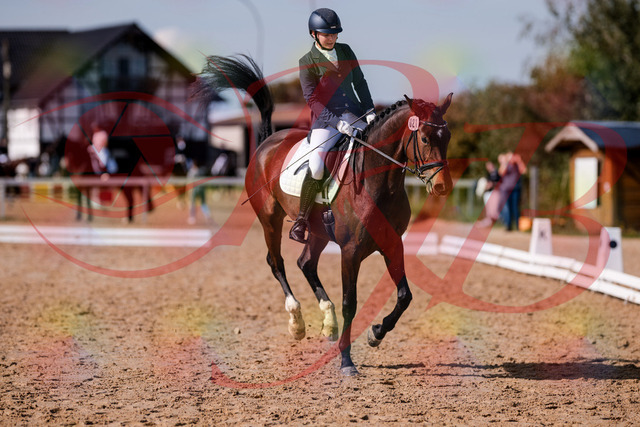 2026_10_03_Siefer-Hof_125753_Z81_47036844 | Professionelle Reitsport-, Turnier- und Eventfotografie von Robert Broda. Galerien mit ausgewählten und bearbeiteten Bildern direkt online ansehen und bestellen.
