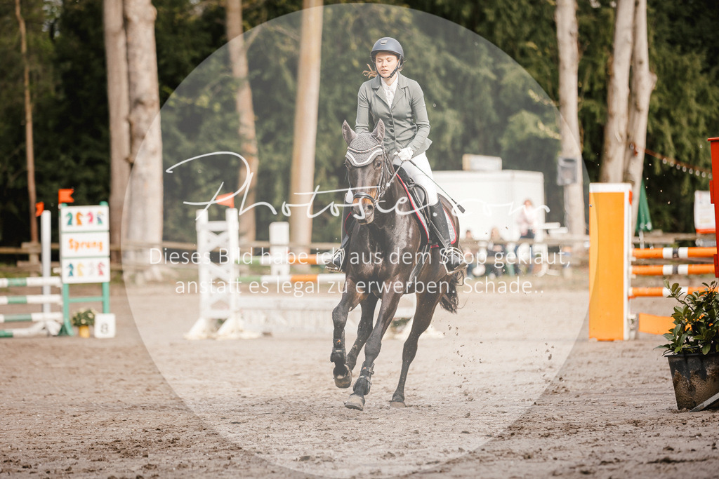 3I6A3332 | Stimmungsvolle Portraits und Reitsportfotografie im Ruhrgebiet und im Münsterland.

Pferdefotografie, Hundefotografie, Tierfotografie, Reportagen, Portraits von Tier und Mensch, Turnierfotografie in Bochum, Recklinghausen, Marl, Haltern am See, Dülmen.. - Realisiert mit Pictrs.com