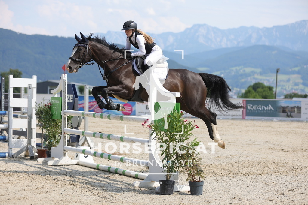 0P6A0604 | Willkommen bei Brunnmayr - Design & Fotografie – Ihrem Spezialisten für Reitturniere und Pferdeveranstaltungen in Oberösterreich, Salzburg und Bayern! Seit über 17 Jahren sind wir leidenschaftlich dabei.