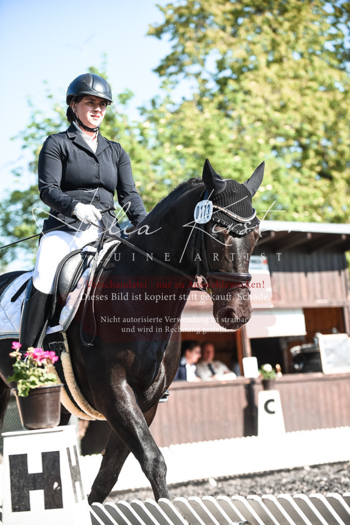 DSC_8603 | Pferde- und Turnierfotografie in Westsachsen. Pferdeportraits, Auftragszeichnungen und intuitive Kunst.