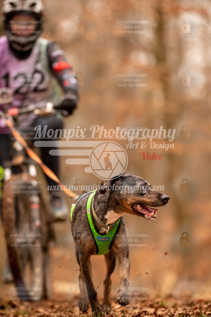 AKM_ST_2023_SAM_Bike-154 | PayLife