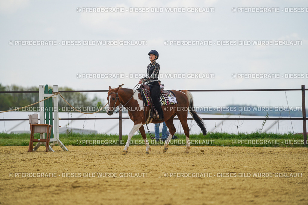 DSC06416 | Pferdegrafie