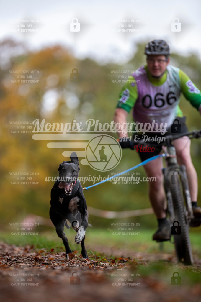 DBT_DAKM_SA_4_11_2023_Bike-46 | PayLife