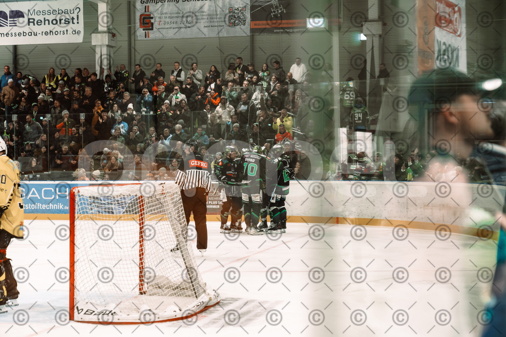 Alligators_vs_Bayreuth_10_2025-59 | Höchstadt Alligators Fotogalerie: Eishockey-Action aus Franken. Professionelle Spielfotos, Portraits & Stadionbilder zum Download. Jetzt entdecken! - Realisiert mit Pictrs.com
