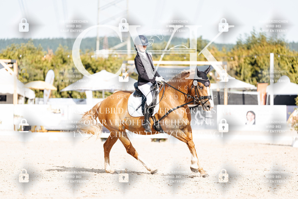 CK905379 | Turnierfotografie Pferdefotografie Trier Rheinland-Pfalz Pferdesport Reitsport Tierfotografie Sportfotografie Pferdevideo Pferdevideografie Equestrianvideography equestrianphotography  - Realisiert mit Pictrs.com
