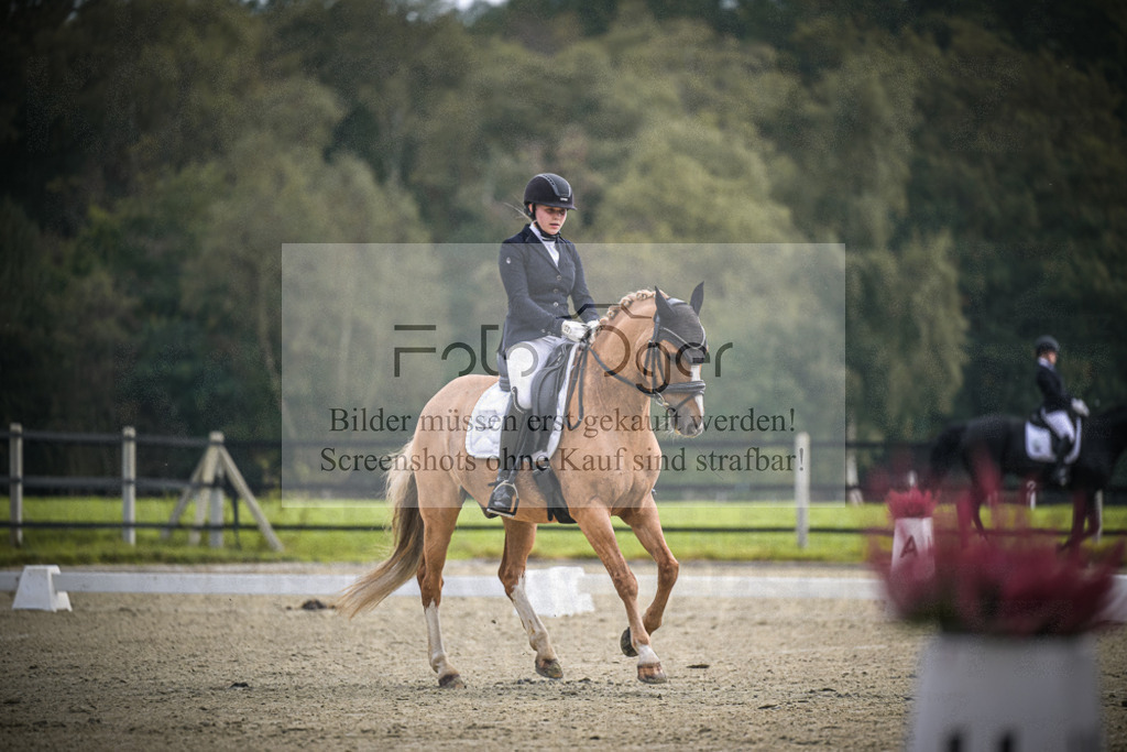DOS_B546 | Entdecke hochwertige Reitturnierfotos von Foto Oger. Professionell, emotional und authentisch – jetzt Lieblingsmomente im Shop bestellen.Deutschlandweite Turnierfotografie. - Realisiert mit Pictrs.com