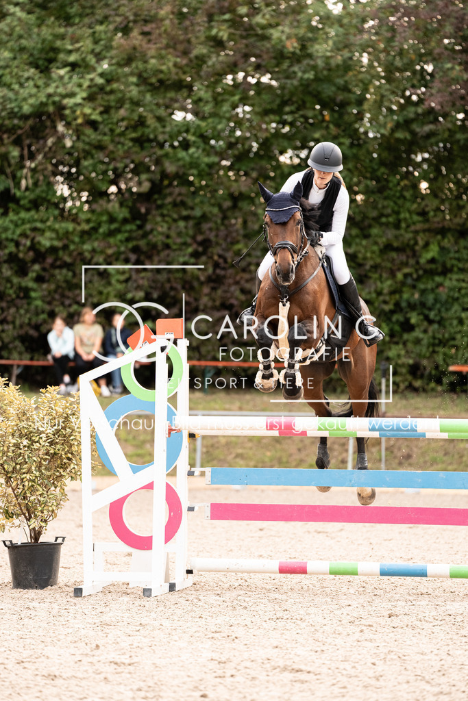 DSC03062 | Carolin Gieschke