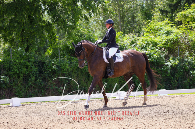 DKP40953 | Turnierfotos kaufen im Webshop von Daniel Kuhl Photography – entdecke professionelle Reitsportfotos aus Turnieren & Events. Hochwertige Turnierbilder online bestellen & sichern. Jetzt Fotos von Reitsportturnieren kaufen!