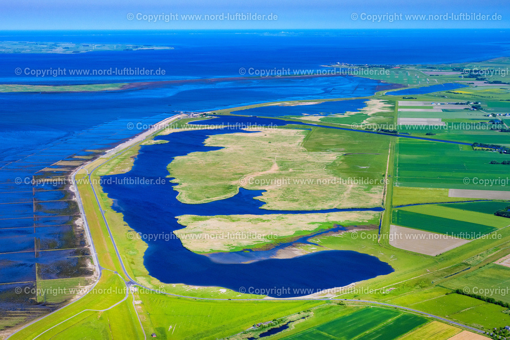 Ockholm_Speicherbecken_ELS_8275100623 | OCKHOLM 10.06.2023 Küsten- Landschaft mit Deich- Schutzstreifen am Speicherbecken Süd an der Straße L191 in Ockholm Nordfriesland im Bundesland Schleswig-Holstein, Deutschland. Naturschutzgebiet, Landwirtschaft und Windkraft -Anlagen. // Coastline with dike protection strips on Speicherbecken Sued on street L191 in Ockholm North Friesland in the state Schleswig-Holstein, Germany. Foto: Martin Elsen