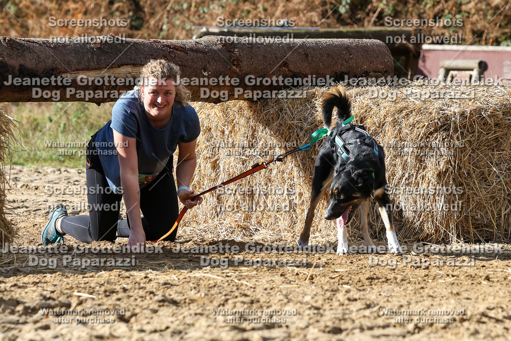 Dog Paparazzi - Strongdog 10-25-4912 | Dog Paparazzi Jeanette Grottendiek Fotografie & Videografie - Realisiert mit Pictrs.com