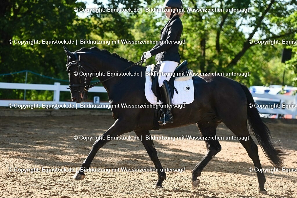 20230715_06_Dressurpferdeprfg. Kl.A_0089 | equistock