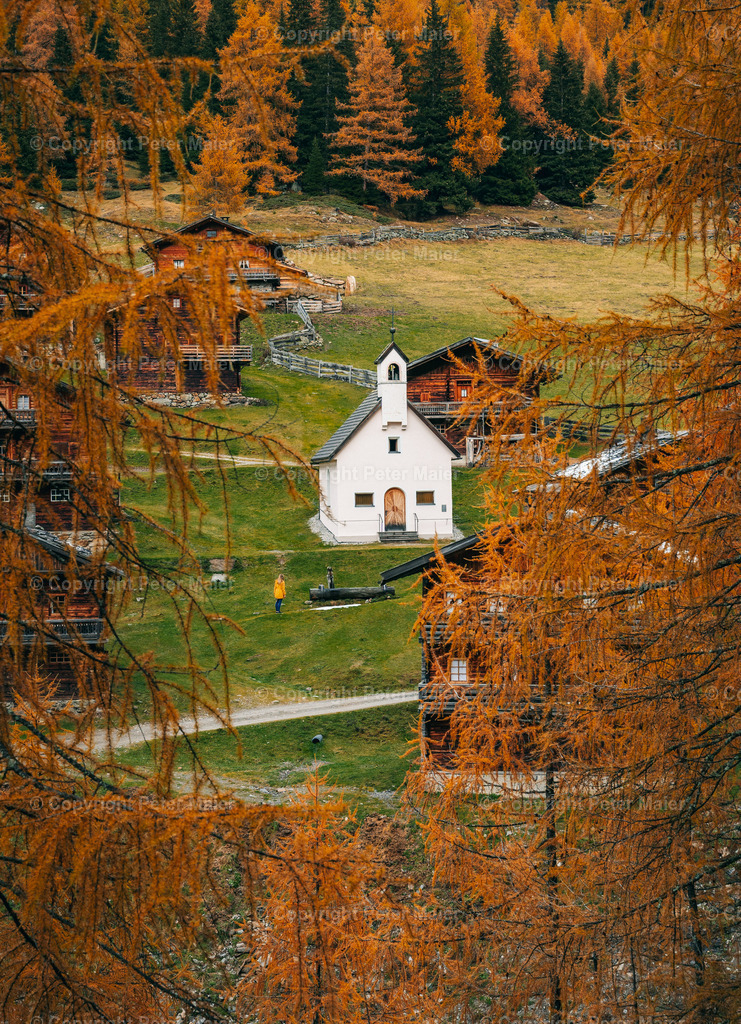 Oberstalleralm_Herbst_2020-98 | piet_flosse