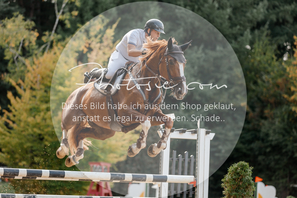 3I6A5172 | Stimmungsvolle Portraits und Reitsportfotografie im Ruhrgebiet und im Münsterland.

Pferdefotografie, Hundefotografie, Tierfotografie, Reportagen, Portraits von Tier und Mensch, Turnierfotografie in Bochum, Recklinghausen, Marl, Haltern am See, Dülmen.. - Realisiert mit Pictrs.com