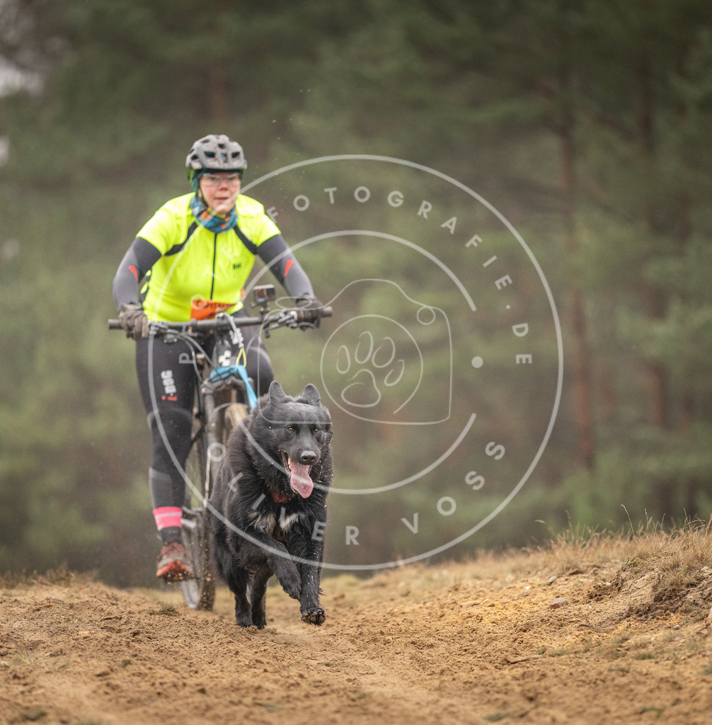 Pfotenfotografie_DV3A3835 | Hundefotografie, Tierfotograf, Pfotenfotografie, Fotoshooting Hund, Hunde Portrait, Hundesport, Hundeportraits, Heideshooting, Hunde, Sportfotograf, Hundefotograf, Turnierhundsport, THS,  - Realisiert mit Pictrs.com