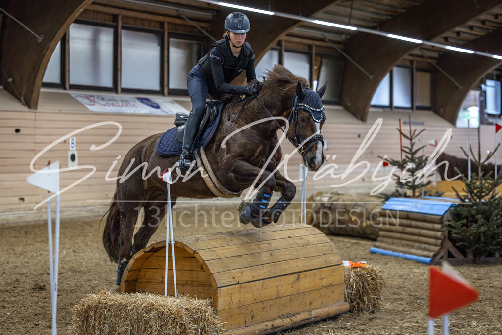 20260222-_3LI1301 | Tierfotografie Pferde, Hunde, Katzen, Haustiere.
Turnierfotografie Reitturniere, Reiten, Springreiten, Dressur in Hanau, dem Main-Kinzig-Kreis und dem Rhein-Main- Gebiet um Frankfurt