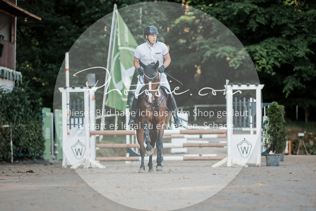 3I6A6061 | Stimmungsvolle Portraits und Reitsportfotografie im Ruhrgebiet und im Münsterland.

Pferdefotografie, Hundefotografie, Tierfotografie, Reportagen, Portraits von Tier und Mensch, Turnierfotografie in Bochum, Recklinghausen, Marl, Haltern am See, Dülmen.. - Realisiert mit Pictrs.com