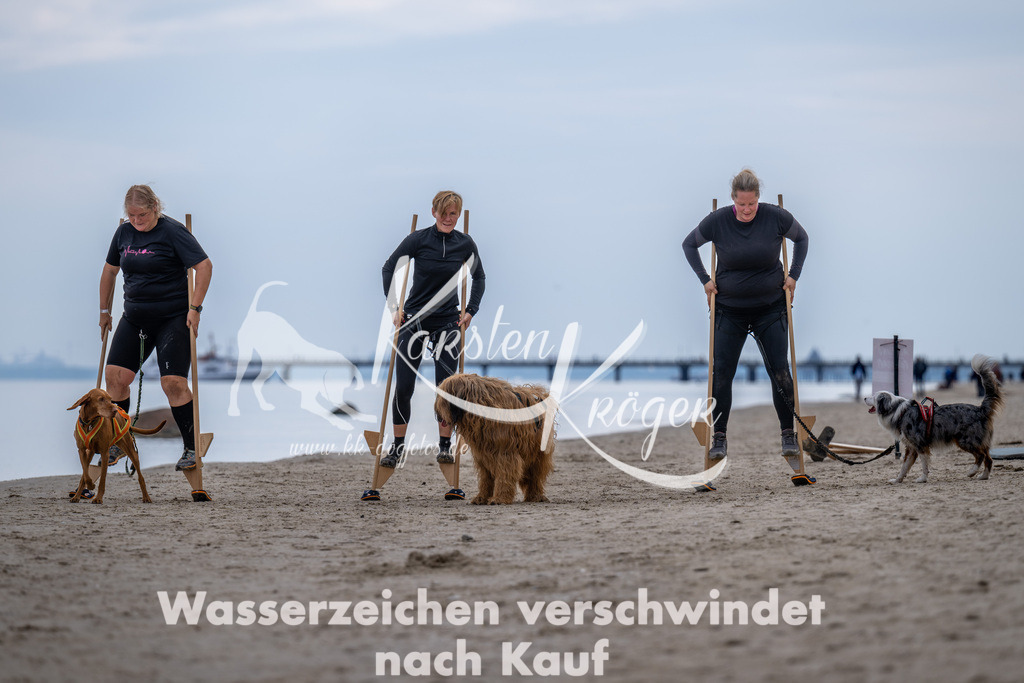 1221_ZZ91126 | kk-dogfotos