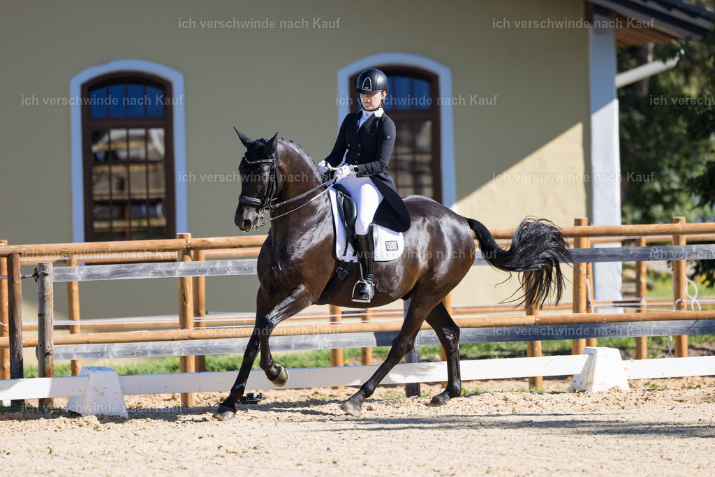 FHC2026_P07_9_17432 | working equitationturnier fotograf videograf stoibphotography marixx film working equitation deutschland reitsport turnierfotografie eventfotografie equestrian events