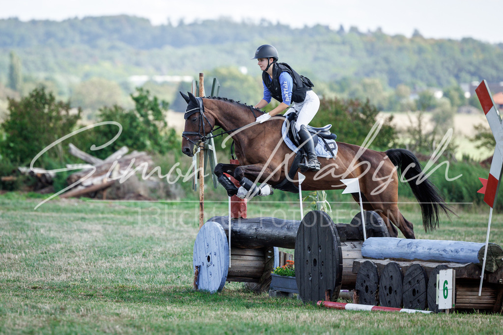 20260905-_3LI9619 | Tierfotografie Pferde, Hunde, Katzen, Haustiere.
Turnierfotografie Reitturniere, Reiten, Springreiten, Dressur in Hanau, dem Main-Kinzig-Kreis und dem Rhein-Main- Gebiet um Frankfurt