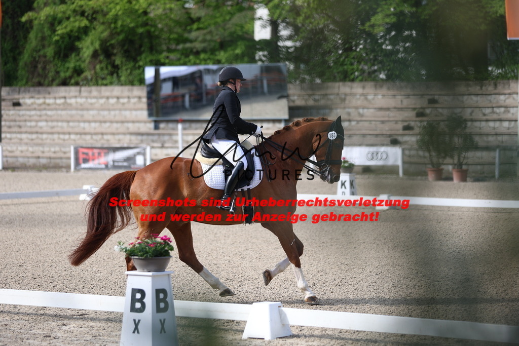 A40A3372 | lmwpictures - Realisiert mit Pictrs.com