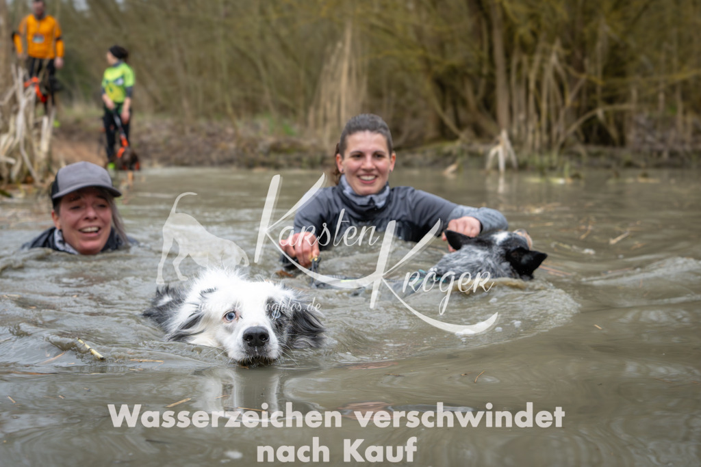 1354_ZZ94441 | kk-dogfotos