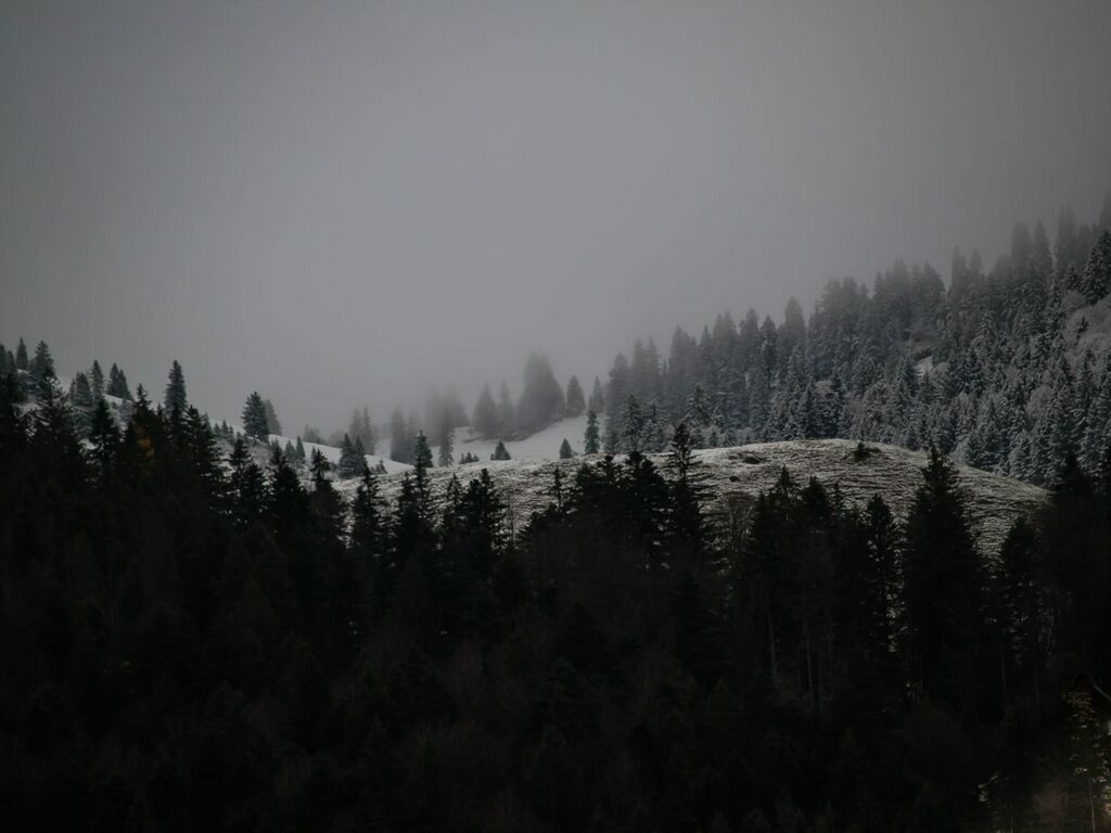 PSX_20221122_233748 | mtkfoto_ - Realisiert mit Pictrs.com