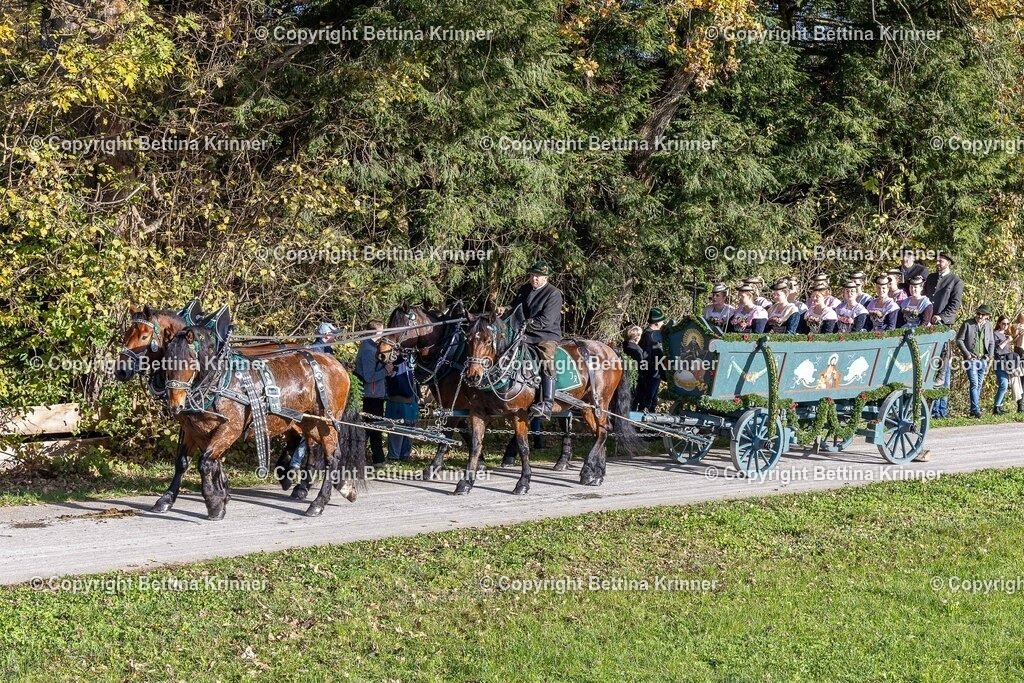 LBT24-379 | foto-bettina-krinner - Realisiert mit Pictrs.com