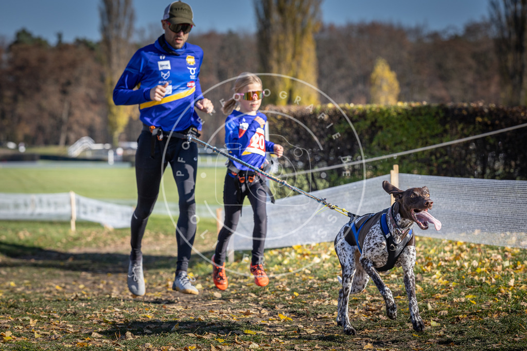 CaniXpix_DV3A8112 | Hundefotografie, Tierfotograf, Pfotenfotografie, Fotoshooting Hund, Hunde Portrait, Hundesport, Hundeportraits, Heideshooting, Hunde, Sportfotograf, Hundefotograf, Turnierhundsport, THS,  - Realisiert mit Pictrs.com