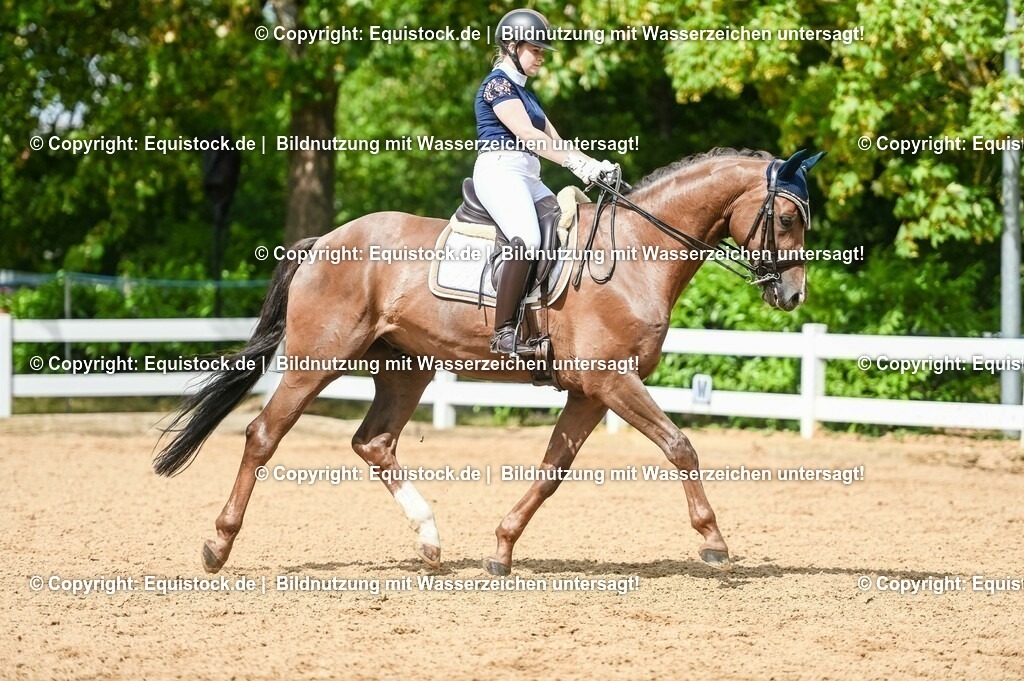 20230716_01_Dressurprüfung Kl.M_0377 | equistock