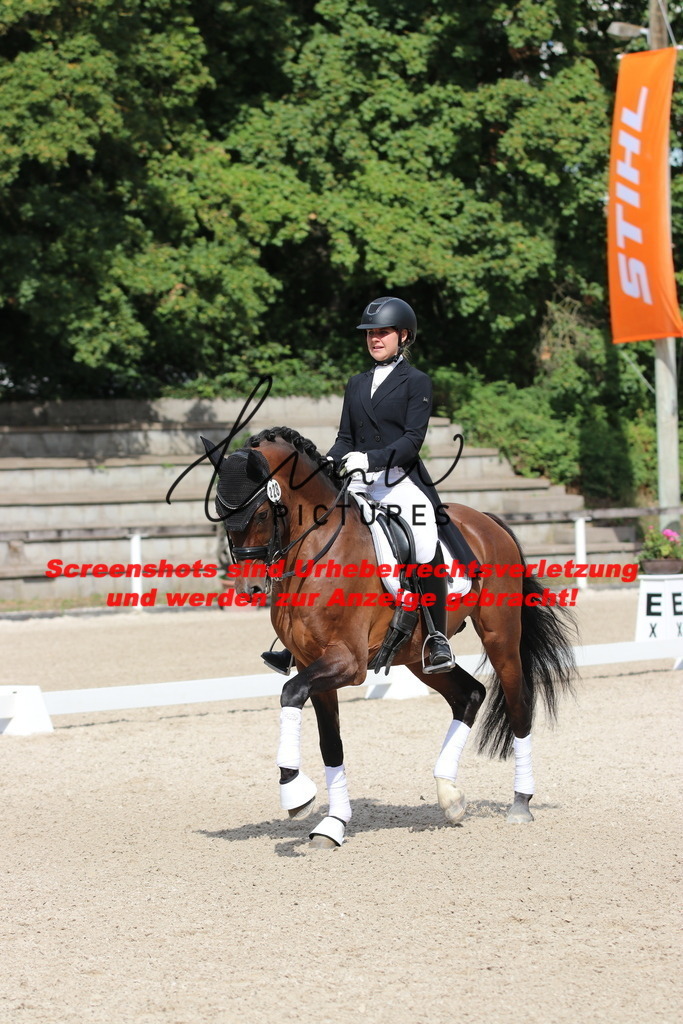 IMG_1323 | lmwpictures - Realisiert mit Pictrs.com