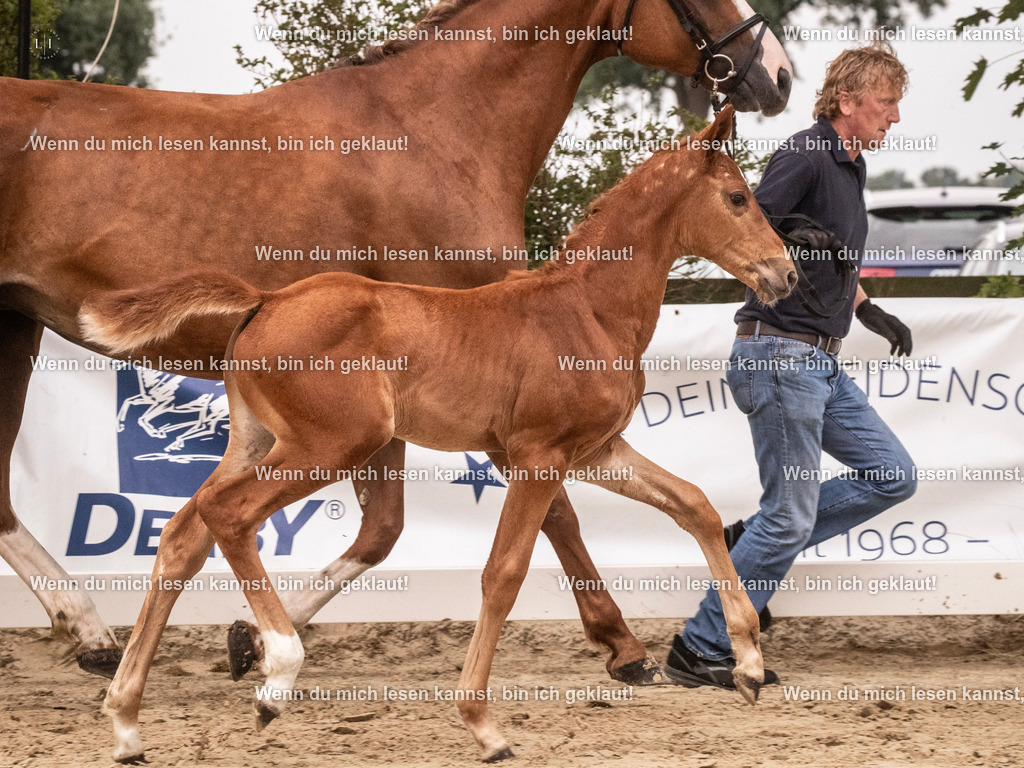 A10I4169 15.58.11 | photographylinaismer - Realisiert mit Pictrs.com