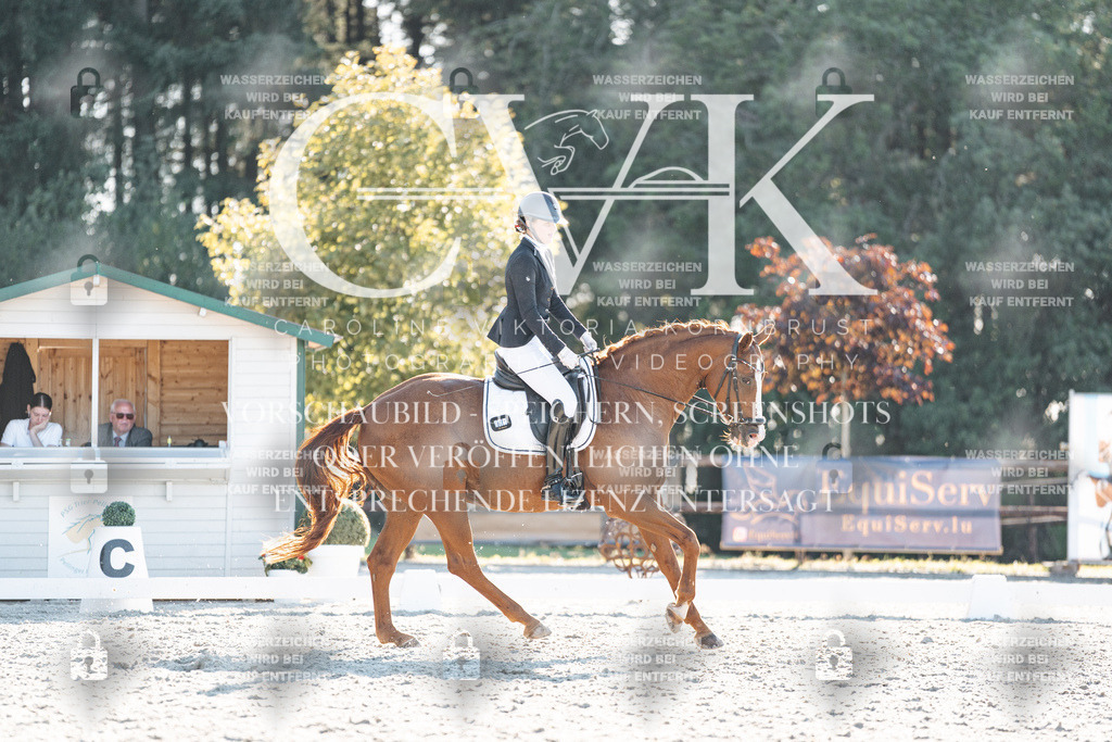 CK906997 | Turnierfotografie Pferdefotografie Trier Rheinland-Pfalz Pferdesport Reitsport Tierfotografie Sportfotografie Pferdevideo Pferdevideografie Equestrianvideography equestrianphotography  - Realisiert mit Pictrs.com