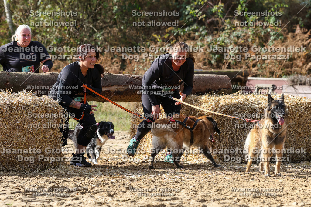 Dog Paparazzi - Strongdog 10-25-5349 | Dog Paparazzi Jeanette Grottendiek Fotografie & Videografie - Realisiert mit Pictrs.com