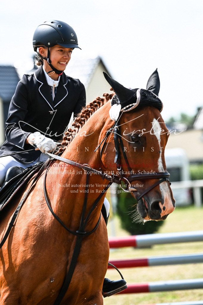 DSC_9179 | Pferde- und Turnierfotografie in Westsachsen. Pferdeportraits, Auftragszeichnungen und intuitive Kunst.