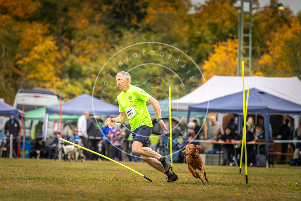 Pfotenfotografie_DV3A2181 | Hundefotografie, Tierfotograf, Pfotenfotografie, Fotoshooting Hund, Hunde Portrait, Hundesport, Hundeportraits, Heideshooting, Hunde, Sportfotograf, Hundefotograf, Turnierhundsport, THS,  - Realisiert mit Pictrs.com