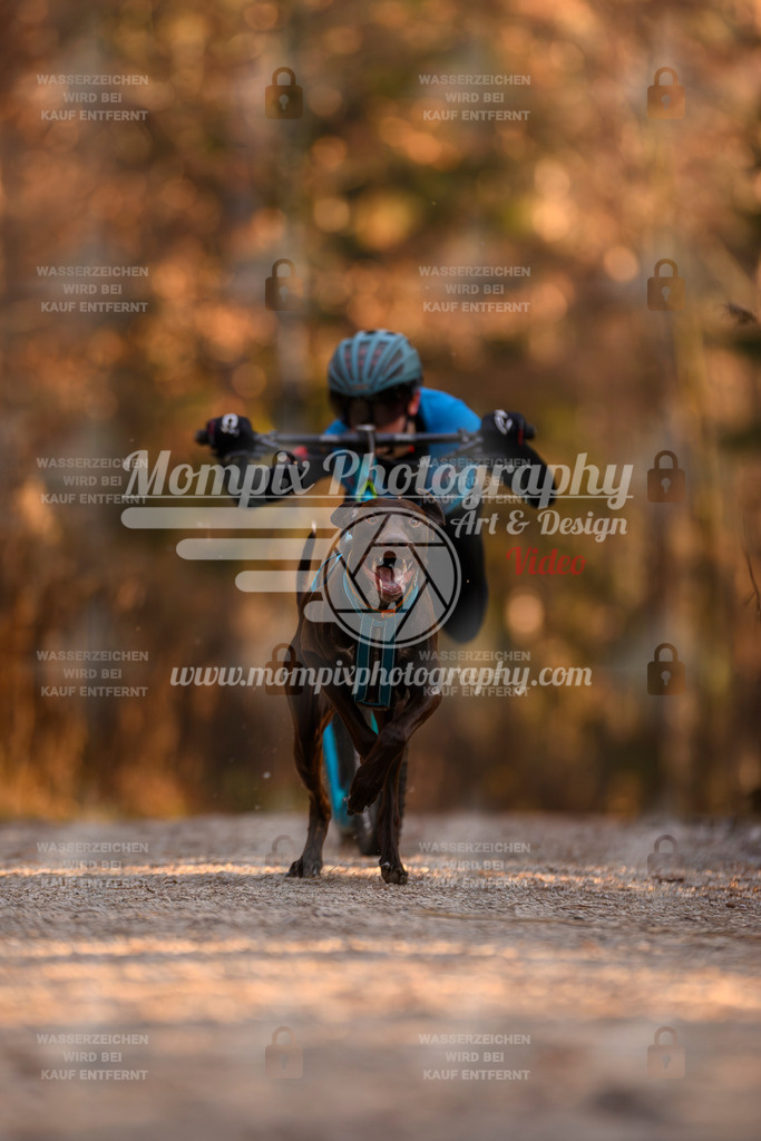 MompixPhotography_DM_AKDM_SO_2025_Scooter-106 | PayLife